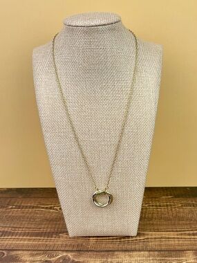 Ann Taylor Factory Two-Tone Interlocking Circle Pendant Necklace
